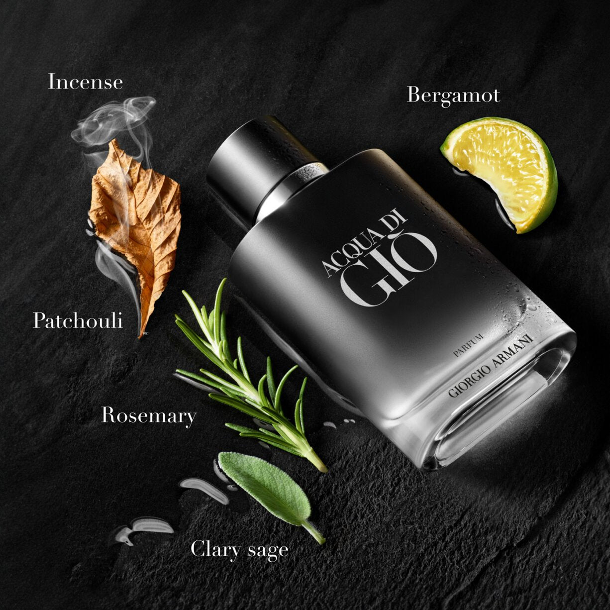Giorgio Armani Acqua Di Gio Parfum For Men 100ml - The Style Hub
